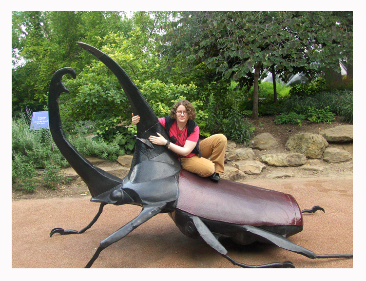 Riding_a_Giant_stag_Beetle_by_Jazzcatnya.jpg