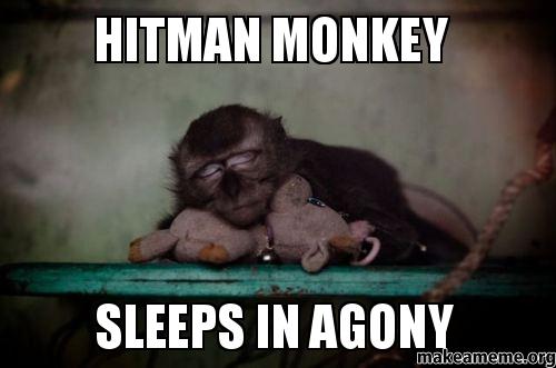 hitman-monkey-.jpg