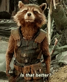 rocket-racoon-is-that-better.gif