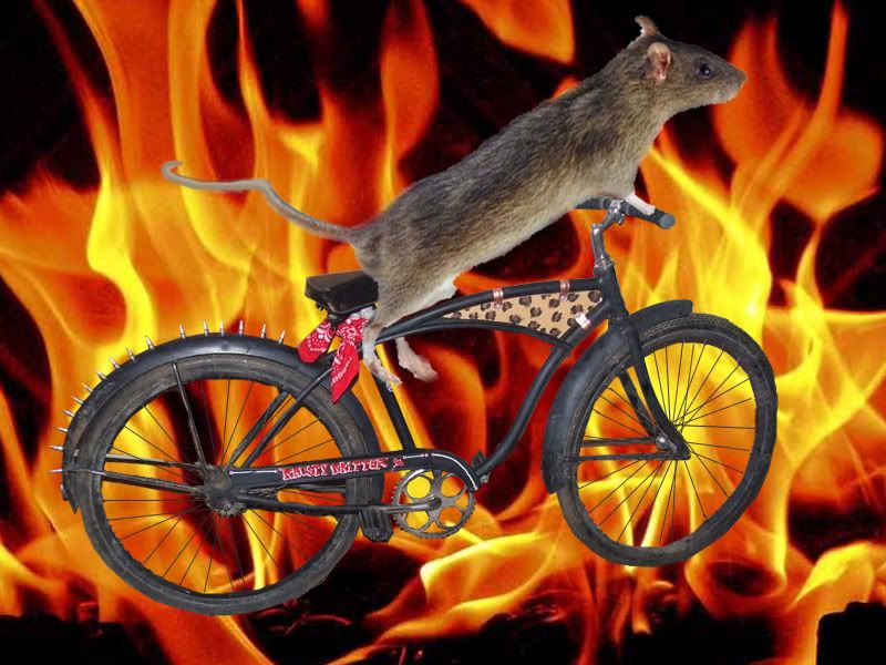 ratbike.jpg