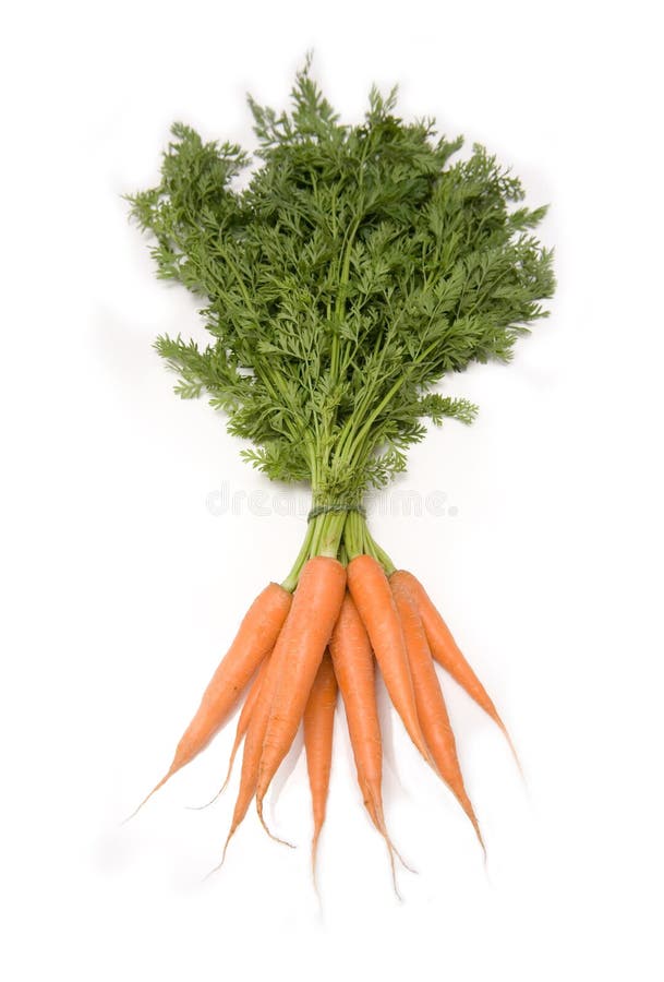 bunch-carrots-greens-1421066.jpg