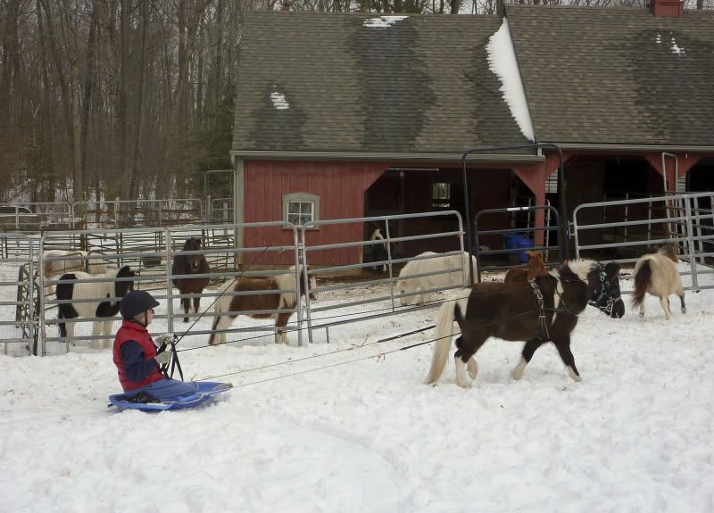 sledding_12_31_5_edited.jpg