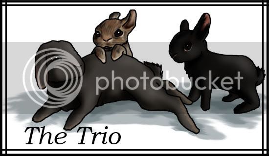 thetrio.jpg