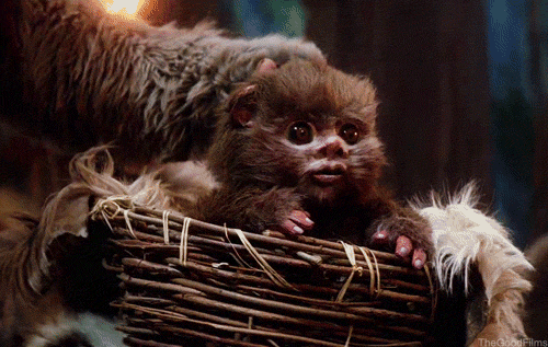Cheering-Up-The-Baby-Ewok-In-Th-Star-Wars-Gif.gif