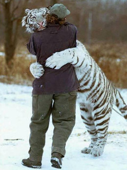 snow_cat_hug.jpg