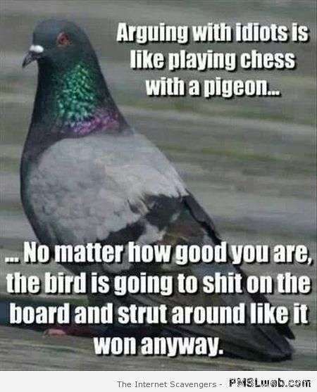 20-playing-chess-with-a-pigeon.jpg