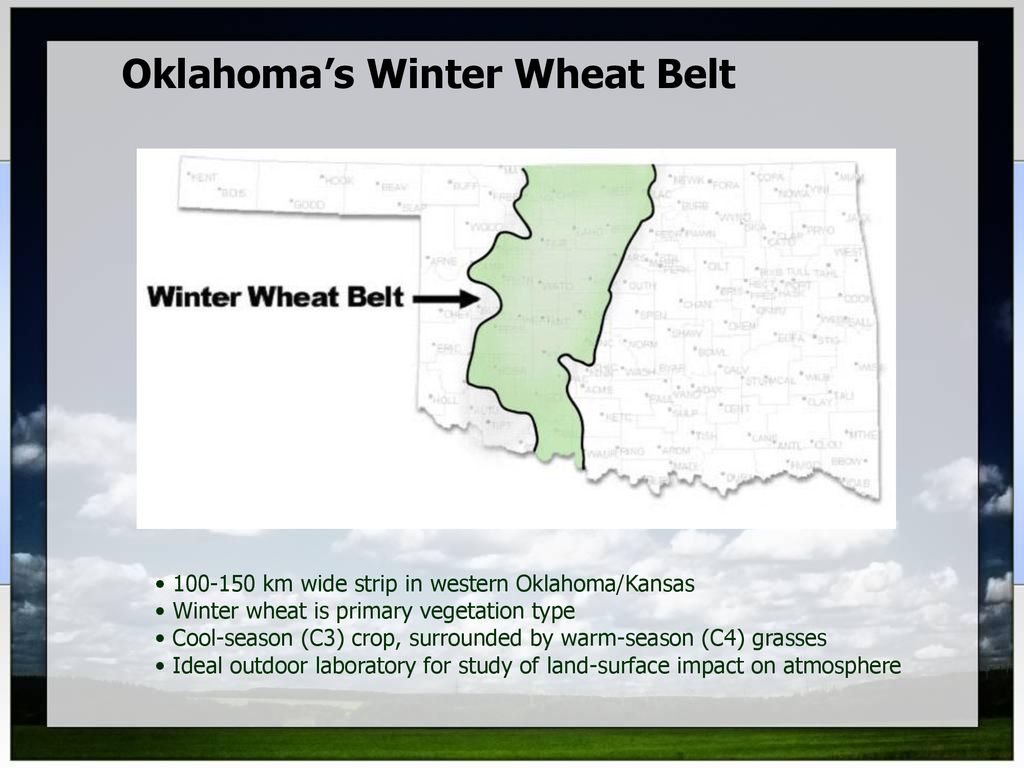 Oklahoma%E2%80%99s+Winter+Wheat+Belt.jpg
