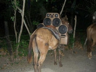 Donkey+Speaker+Mod.jpg