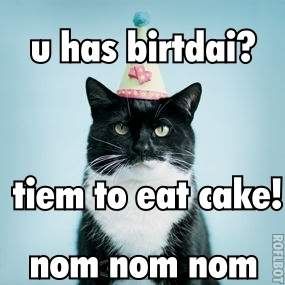 cat_birthday-1.jpg