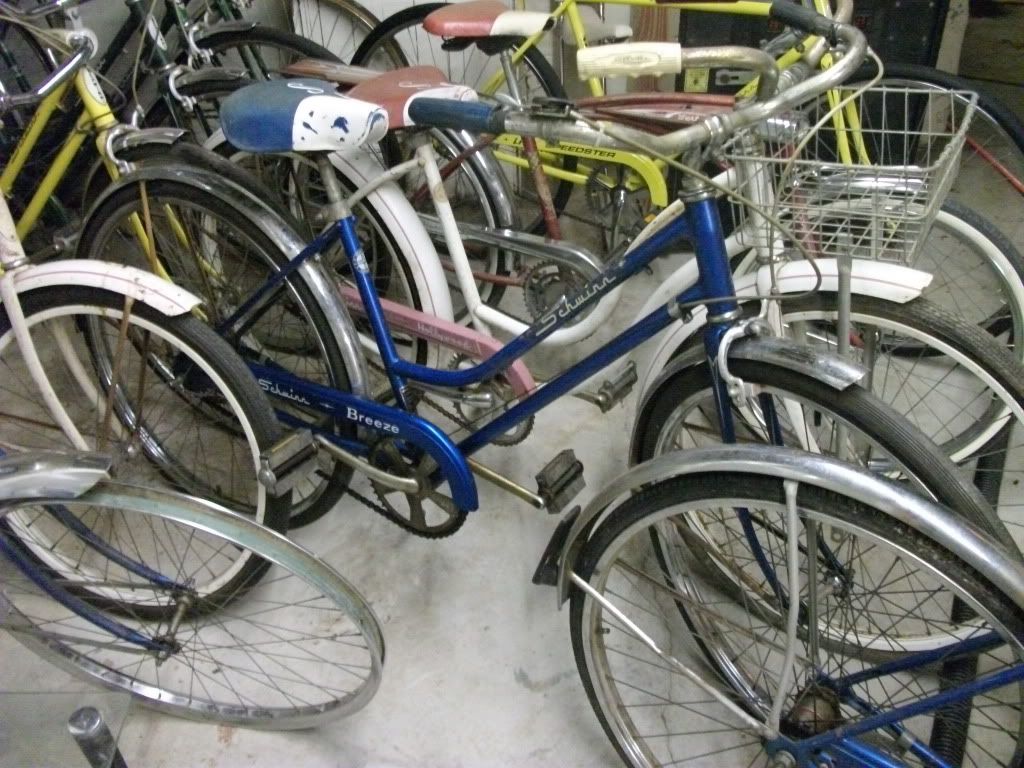 march2012bikes011.jpg