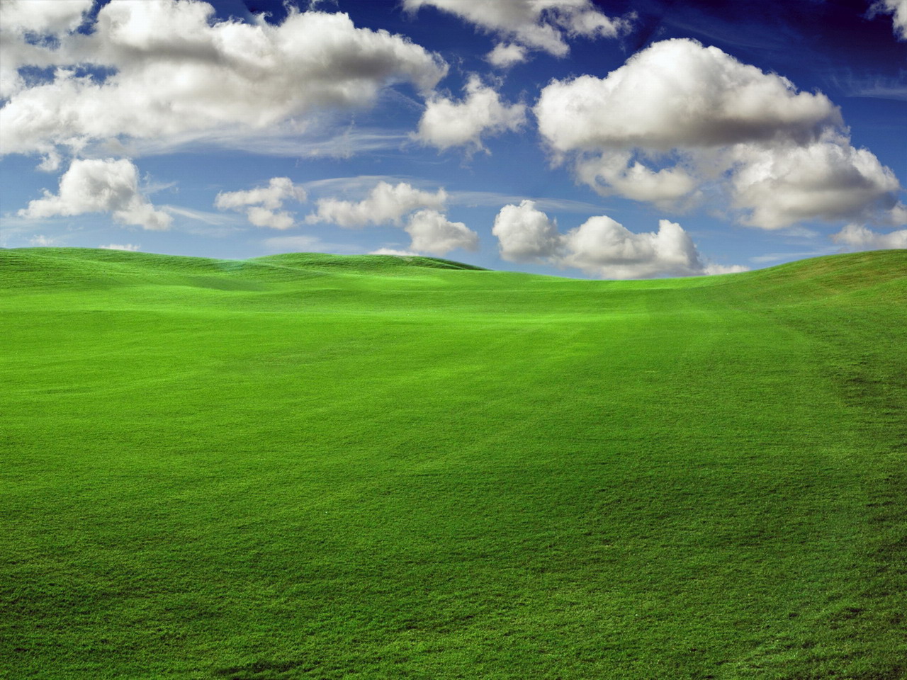 17347d1144471841-upload-your-wallpaper-creations-to-aoafiles-green-grass.jpg