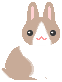 cutebun1.gif