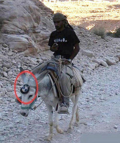 seems-legit-meme-donkey-bmw.jpg