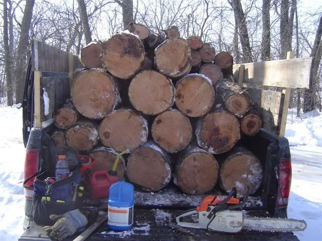 Firewoodcuttingwith028Feb2008008Sma.jpg