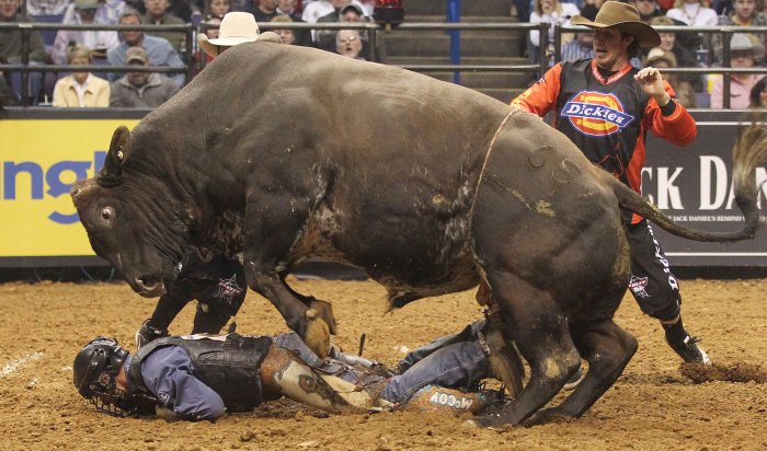 Professional-bull-riding-in-St-Louis_2_1.jpg