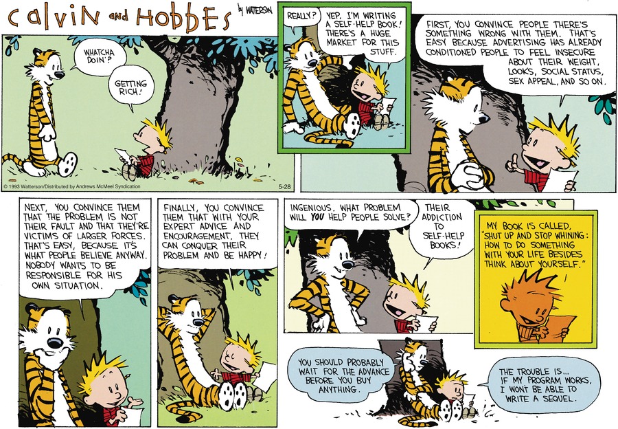 Calvin and Hobbes Comic Strip for May 28, 2023 