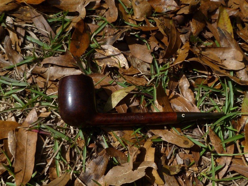 comoy_11.jpg