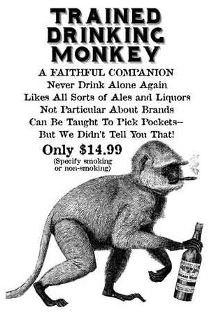 drinkingmonkey.jpg