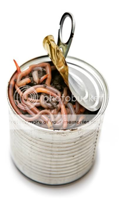 can-of-worms.jpg