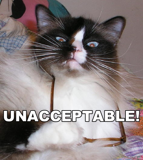 unacceptable-cat-no-angry-lolcat-1282669018t.jpg