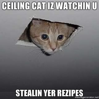 Ceiling-cat-iz-watchin-u-Stealin-yer-rezipes.jpg