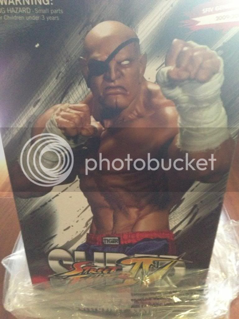 sagat1.jpg