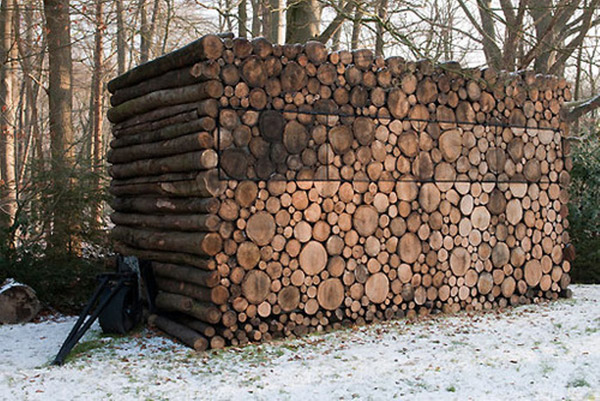 wood-shed-tree2.jpg