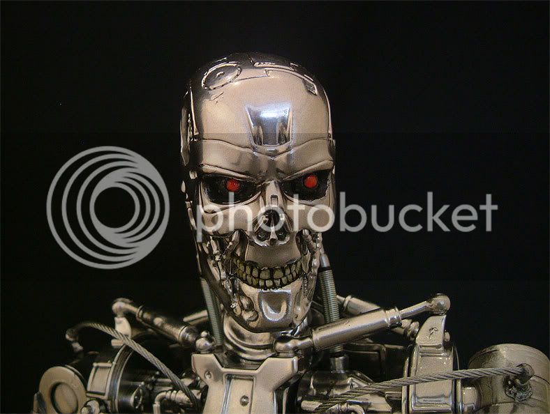 endoskeleton-037.jpg