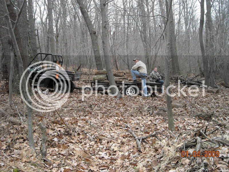 Firewood007.jpg