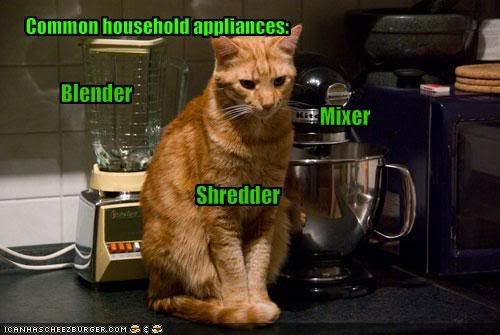 funny-pictures-your-cat-is-a-househ.jpg