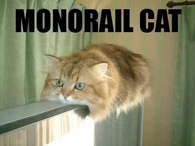 MonorailCat.jpg