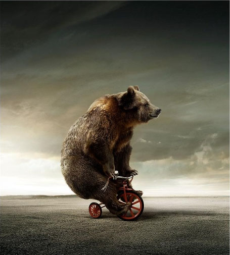bear-on-bicycle-1.jpg