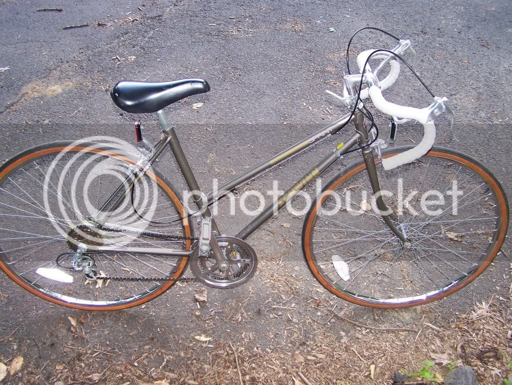 schwinn3.jpg