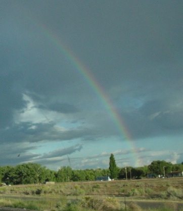 MISCcolor4_Thursday09172009newMexico.jpg