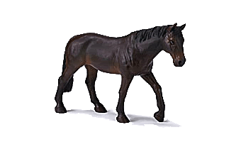 Schleich_Holstein_Mare.gif