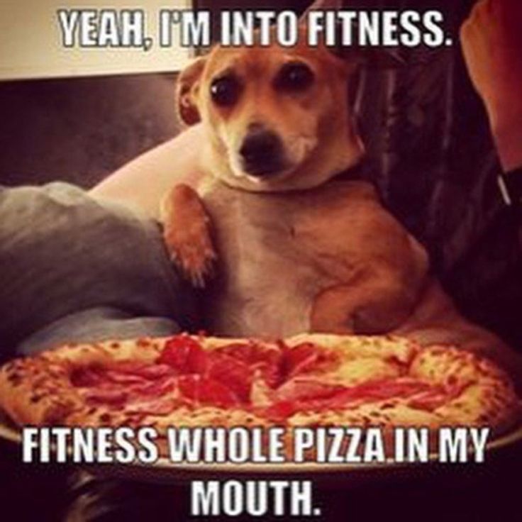 Hilarious-and-Funniest-Dog-Memes-Of-The-Day-50-pics-6.jpg