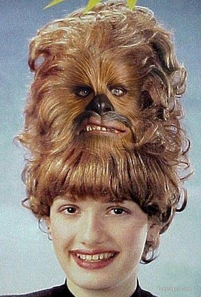 chewbacca-hairstyle4.jpg