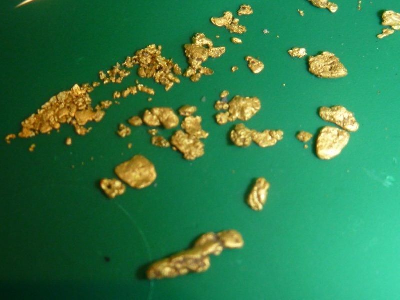 Glendongold24-01-20135.jpg