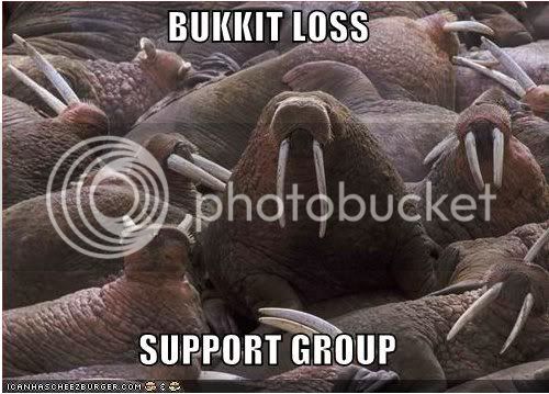 Bukkitlosssupportgroup.jpg
