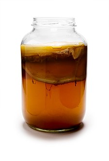 225px-Kombucha_Mature.jpg