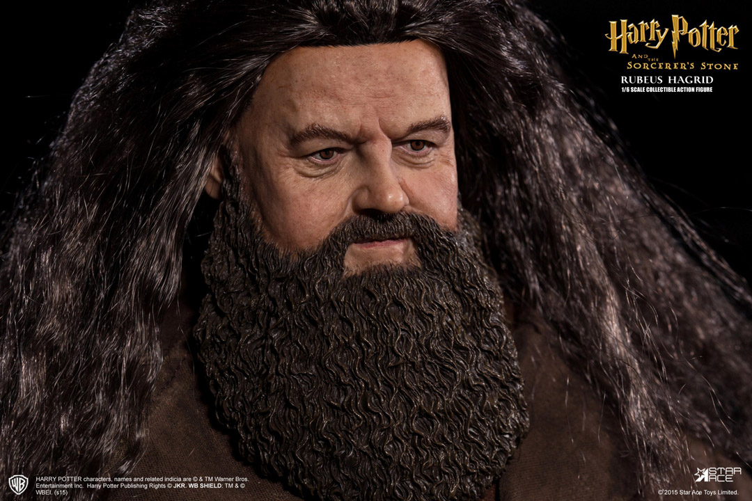 Hagrid-D2.jpg