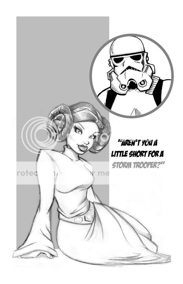 Princess_Leia_and_Stormtrooper_by_1nch_zpsdf268080.jpg