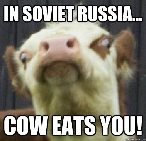 In-Sovite-Russia-Cow-Eats-You-Funny-Meme-Photo.jpg