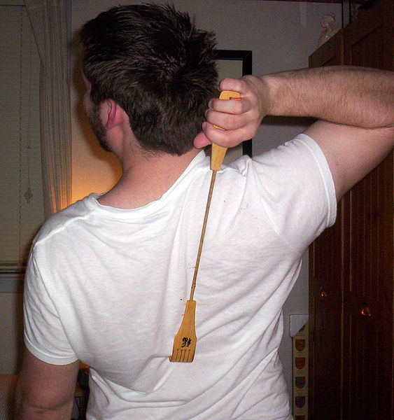 563px-Back_scratcher.jpg