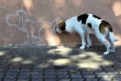 dog-sniffing-cartoon-dogs-butt-400x268.jpg