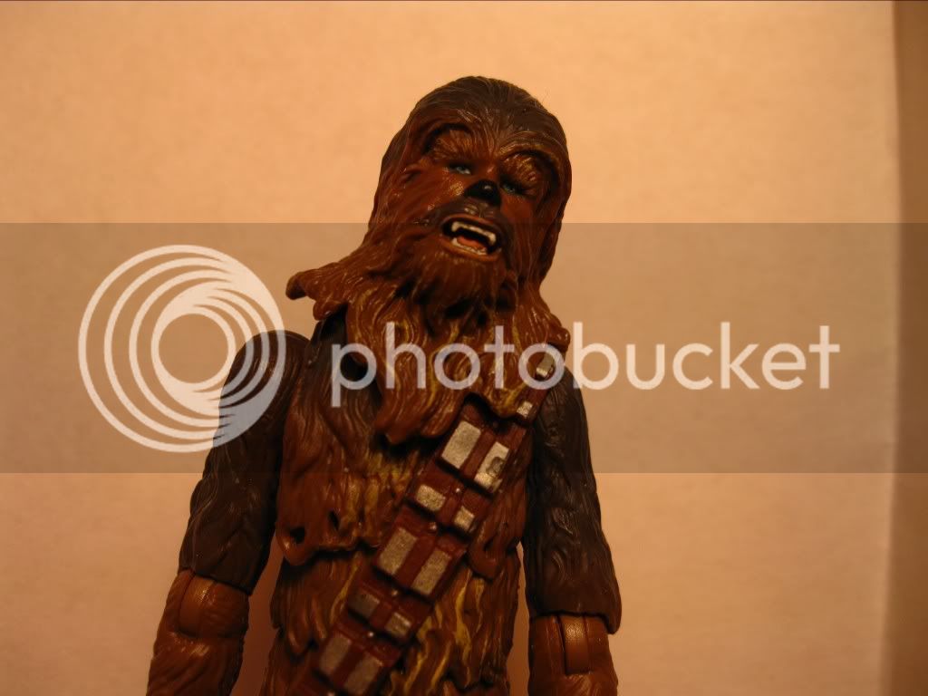 Chewbacca2.jpg