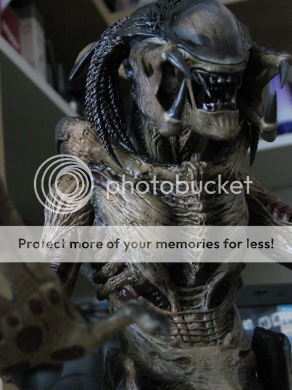 Predalien012.jpg