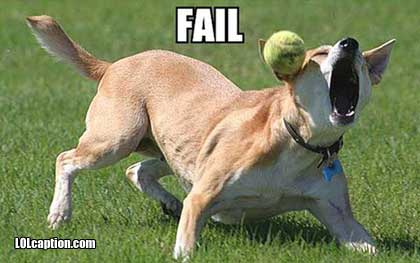 dog-epic-fail-pictures-ball-catch-fail.jpg