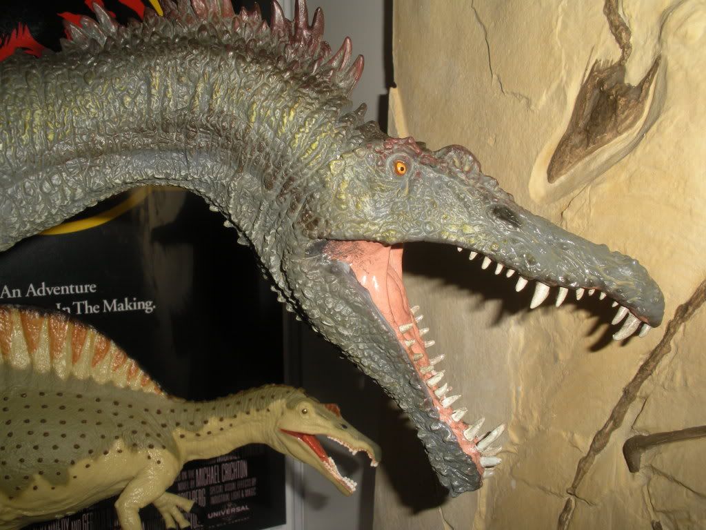 spino011.jpg