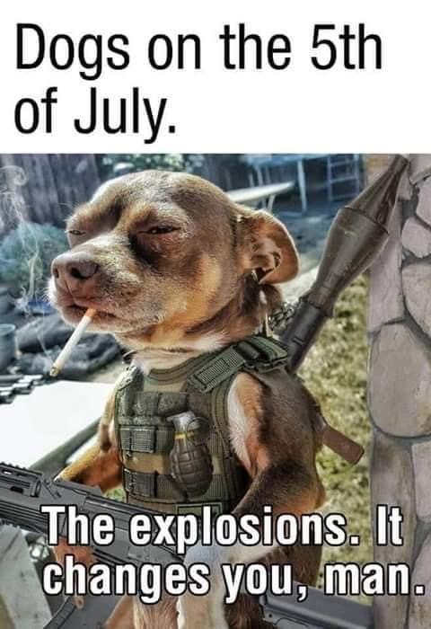 dogs-on-5th-of-july-explosions-changes-you-guns-rocket-launcher.jpg